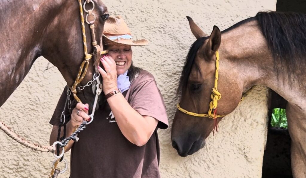 Turismo rural transforma cavalos e caprinos em renda extra ao pecuarista em SP