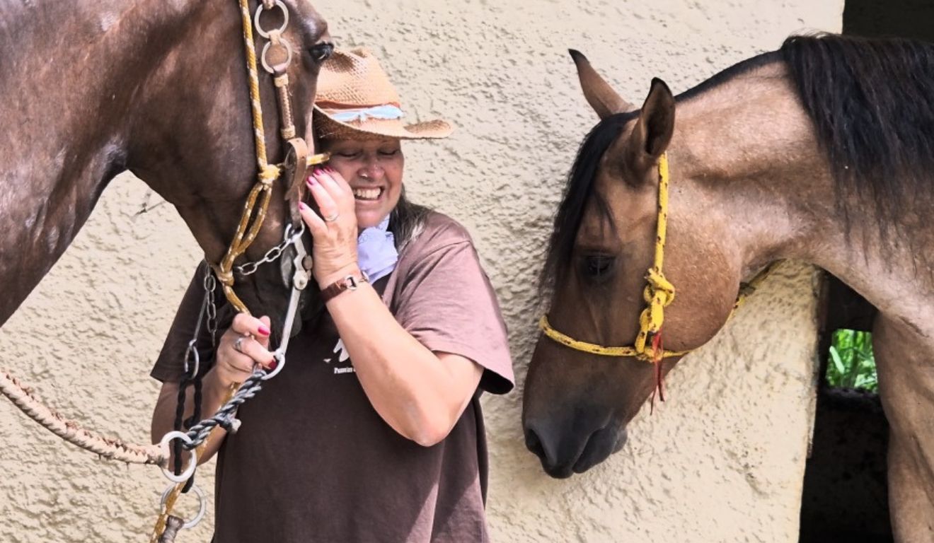 Turismo rural transforma cavalos e caprinos em renda extra ao pecuarista em SP