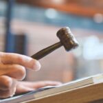 eilões da 91º ExpoZebu superam R$ 100 milhões e disparam valorização da genética zebuína