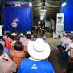 Quem são as campeãs do Concurso leiteiro da ExpoZebu Veja as fêmeas que bateram recordes