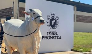 5º Terra Prometida reúne elite da pecuária e alcança R$ 133 milhões em vendas