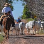 Agro brasileiro atinge 28,4 milhões de trabalhadores e bate recorde histórico em 2025