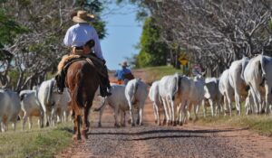 Agro brasileiro atinge 28,4 milhões de trabalhadores e bate recorde histórico em 2025
