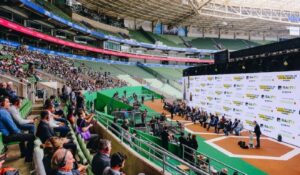 GAFFFF 2026 terá edições em Mato Grosso e São Paulo e amplia conexão com a pecuária