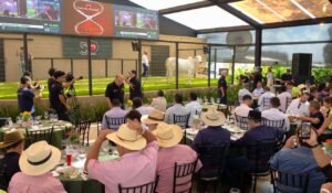 Leilões da Expozebu batem recorde histórico e ultrapassam R$ 254 milhões em faturamento