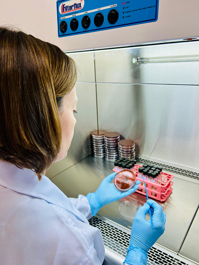 Diagnostico de mastite bovina em laboratorio de sanidade animal