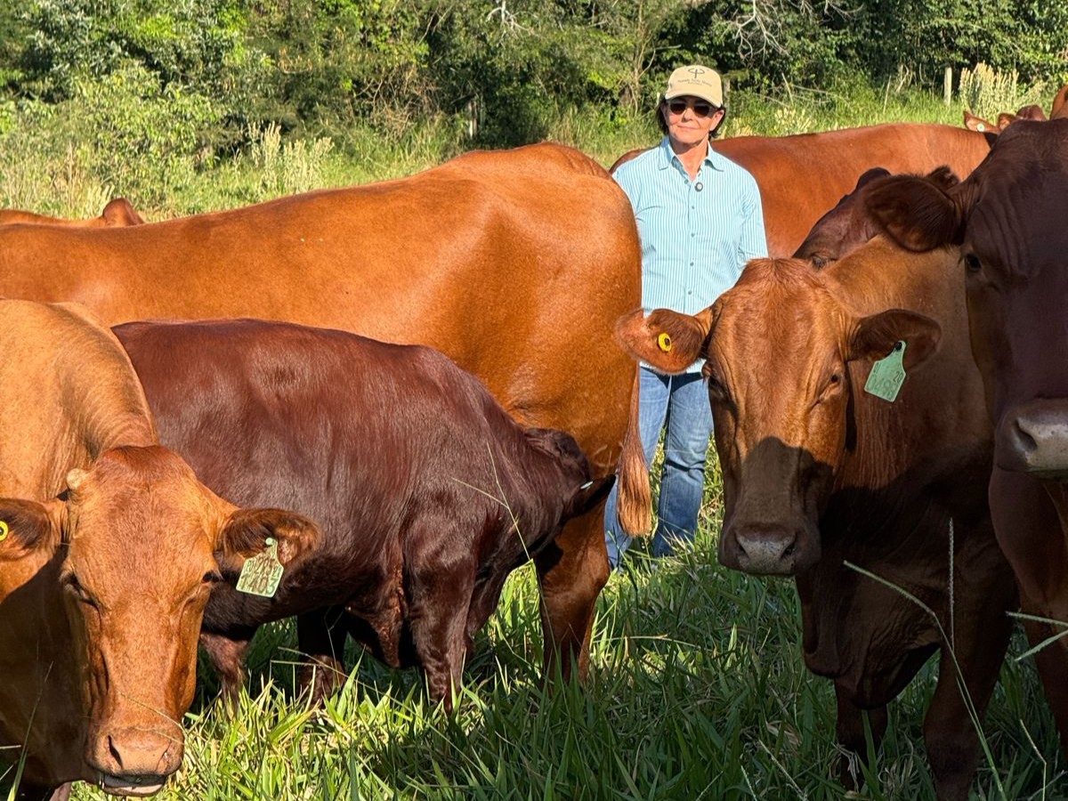 Clélia Pacheco, proprietária da Fazenda Santa Silvéria