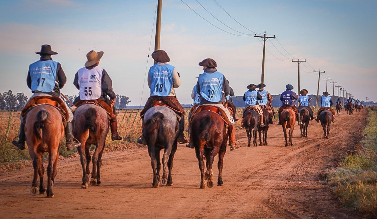 Cavalo Crioulo: Marcha Anual de Resistência reúne recorde de participantes em Bagé