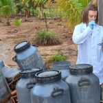 Pesquisa aponta que boas práticas elevaram a qualidade do leite em Rondônia