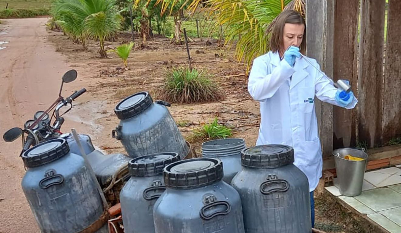 Pesquisa aponta que boas práticas elevaram a qualidade do leite em Rondônia