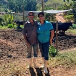 Produção leiteira pequena propriedade vira referência e supera 400 litros por dia em MG