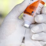 Vacinas contra clostridioses: Mapa libera mais de 8,4 milhões de doses para o mercado