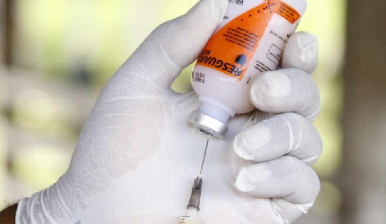 Vacinas contra clostridioses: Mapa libera mais de 8,4 milhões de doses para o mercado