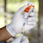 Vacinas contra clostridioses: mercado recebe mais de 27 milhões de doses em maio