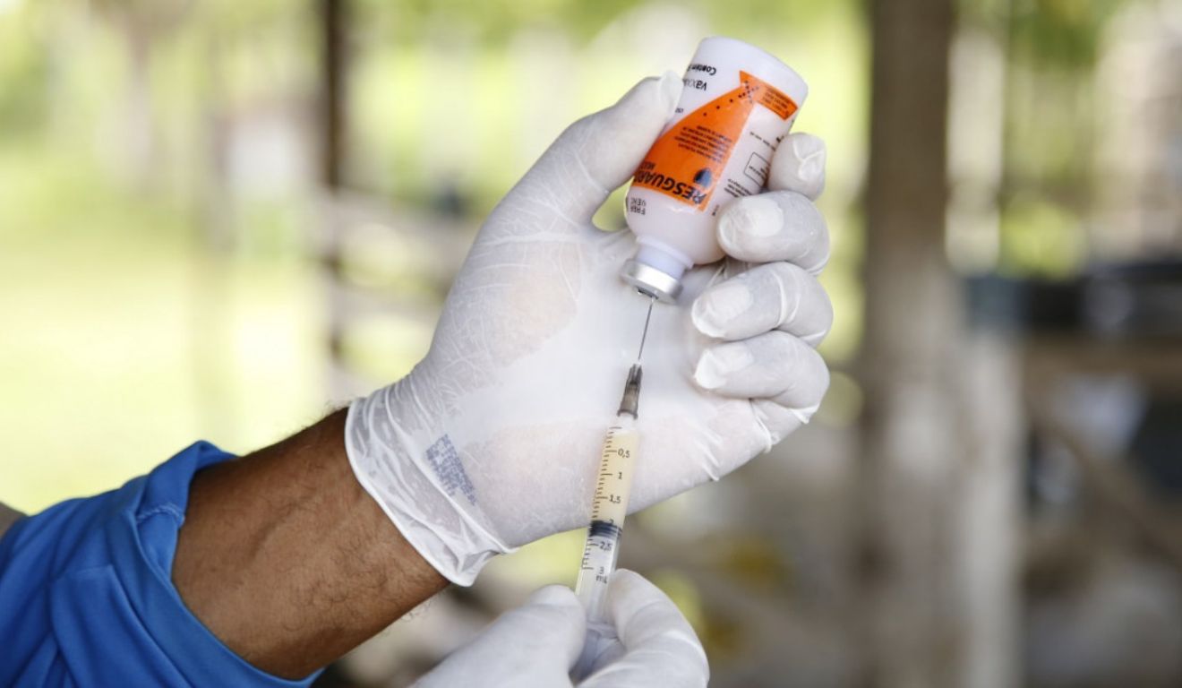 Vacinas contra clostridioses: mercado recebe mais de 27 milhões de doses em maio