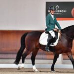 Cavalo Crioulo estreia no Mundial de Paradestramento; saiba mais
