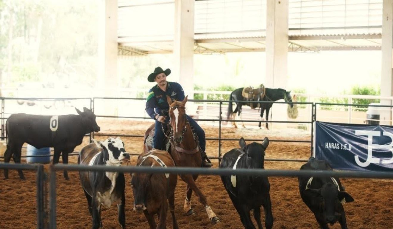 Cavalo Mangalarga mostra versatilidade no Ranch Sorting durante Exposição Nacional em Tatuí