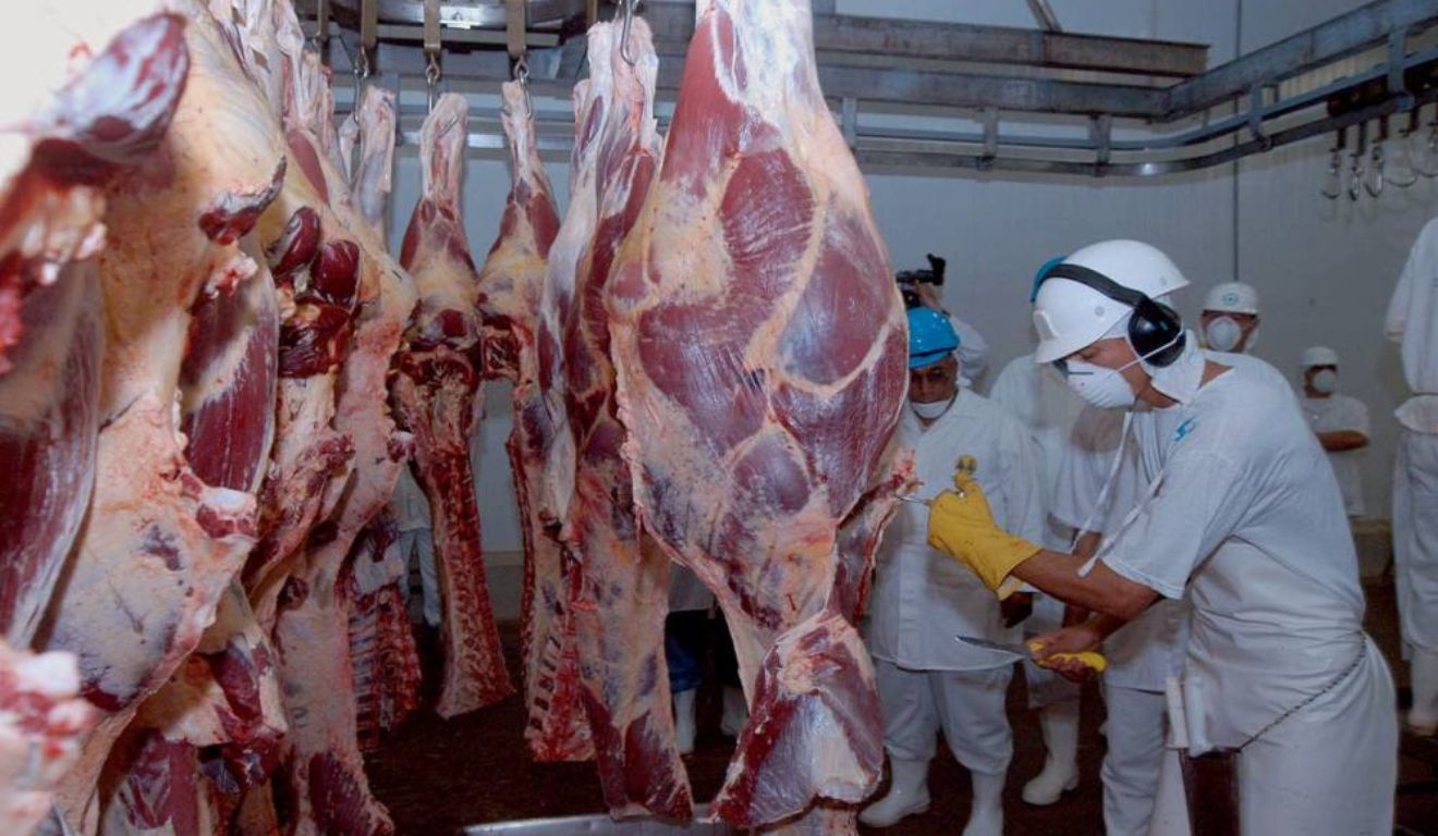 Fim da cota chinesa preocupa pecuaristas e leva frigoríficos a reduzir abates no Brasil
