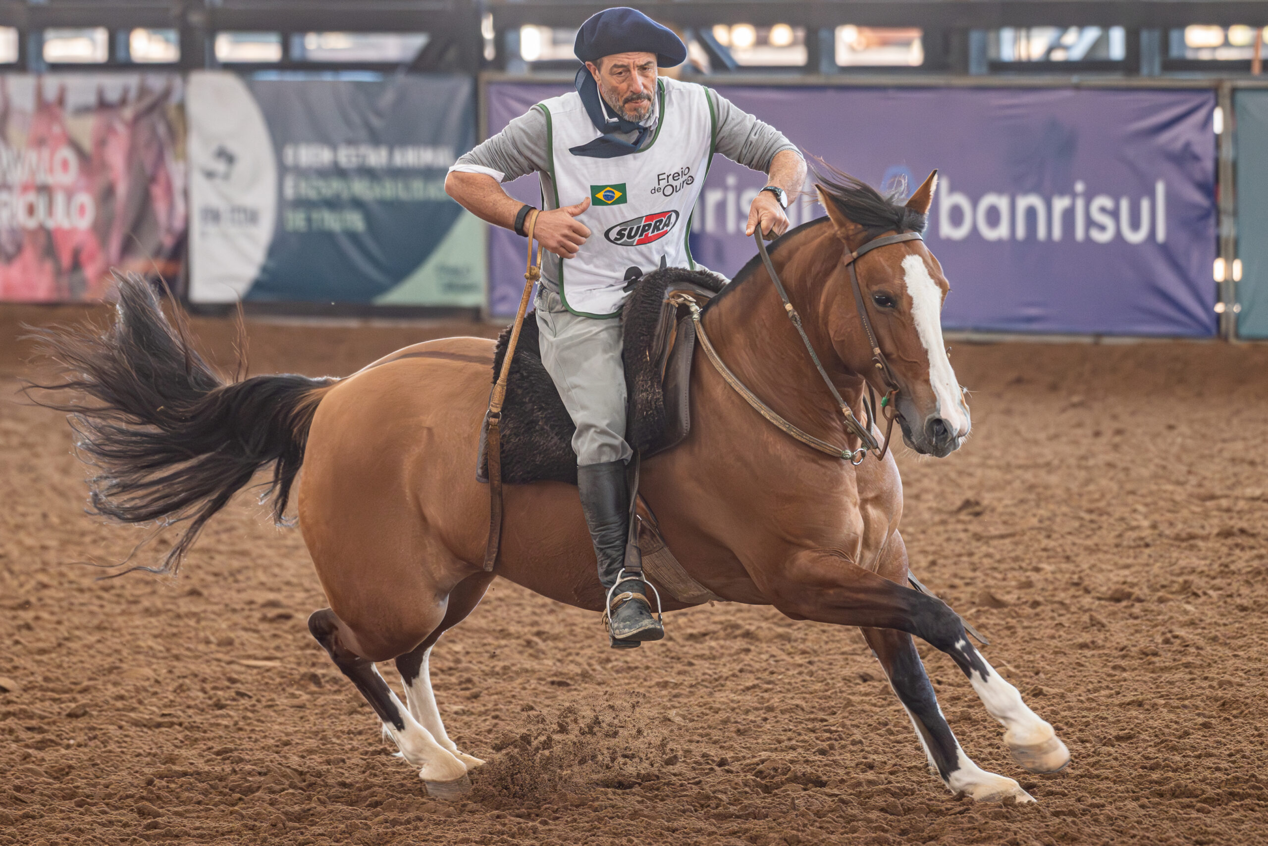 Disputa funcional da raça Crioula será realizada entre os dias 2 e 5 de setembro, durante a Expointer 2026.