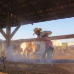 Produzir mais carne com menos terra o avanço do confinamento de bovinos no Brasil