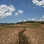 El Nino pode ser o mais intenso em 76 anos veja os impactos para a pecuária
