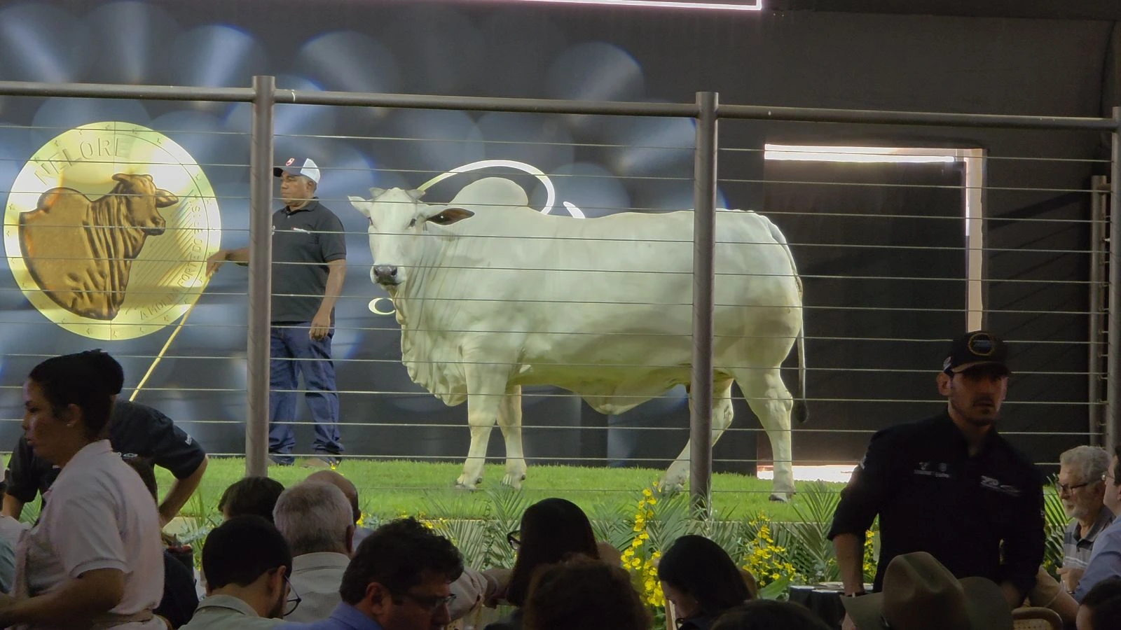 Faturamento da ExpoGenética 2026