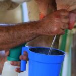Preço médio do leite sobe em junho e acumula alta de 33% no primeiro semestre