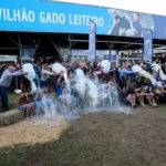 Banho de leite celebra vacas campeãs em produção na Expointer 2026