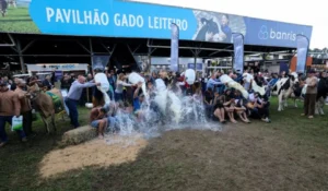 Banho de leite celebra vacas campeãs em produção na Expointer 2026