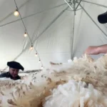 Concurso de Velos destaca qualidade e rendimento da lã na 49º Expointer