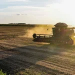 Exportações agrícolas: Brasil pode ultrapassar EUA e beneficiar pecuária
