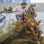 Freio Europa reúne criadores de Cavalo Crioulo na Itália com 42 participantes